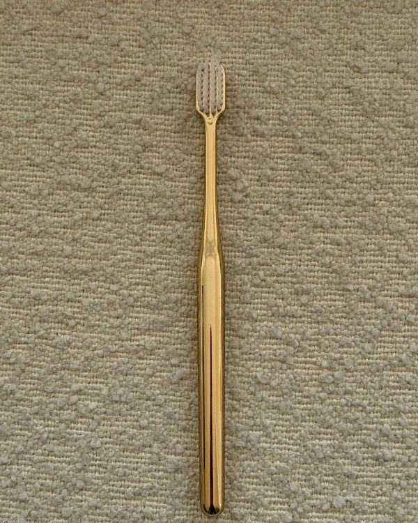 Premium Toothbrush – Silver or Gold - Image 3