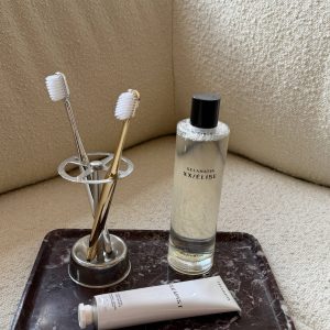 Stainless Steel Toothbrush Holder